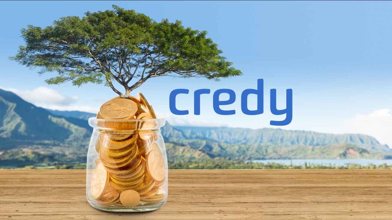 Credy revisión